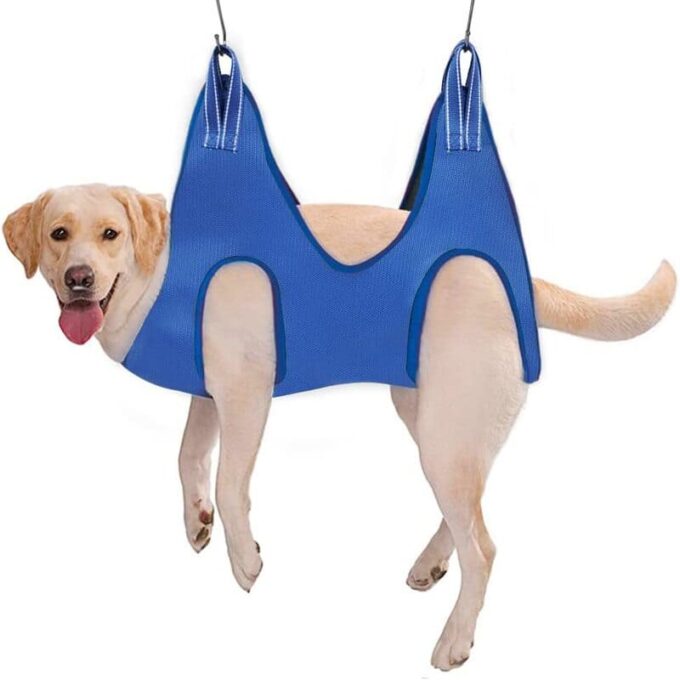 Arnés para aseo Mascotas Soporte perros gatos