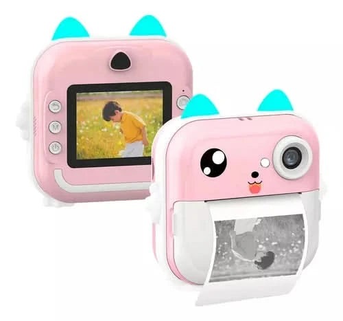 Camara instantanea de Gato