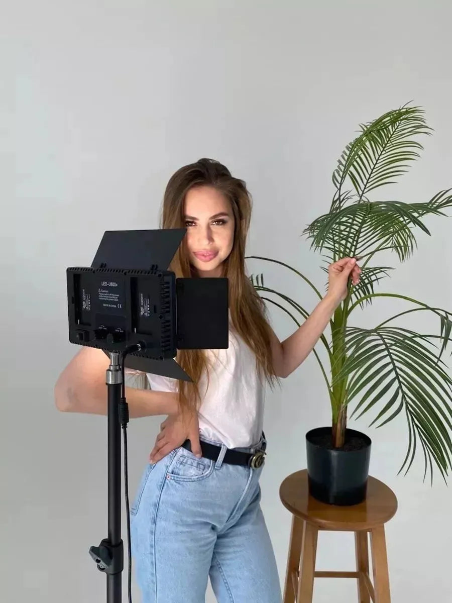 Panel de luz LED profesional recargable